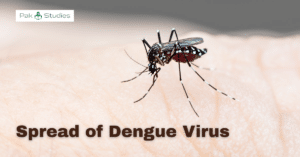 Essay on Dengue Virus2