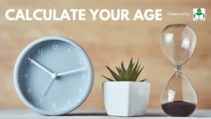 Age Calculator - Calculate Your Age